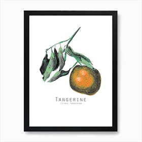 Tangerine Art Print