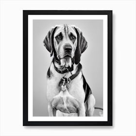 Bloodhound B&W Pencil Dog Art Print