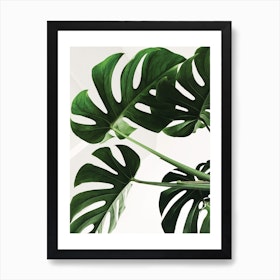 Full Green Plant Art Print
