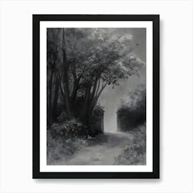 Path In The Woods Art Print