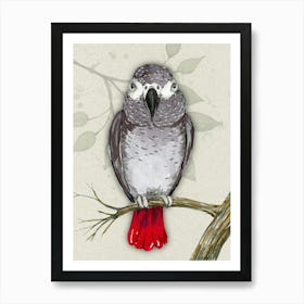 African grey parrot watercolor Art Print