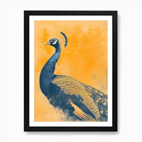 Orange & Blue Vintage Peacock In The Wild 2 Art Print