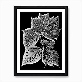 Raspberry Leaf Linocut 4 Art Print