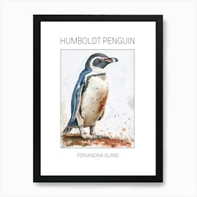 Humboldt Penguin Fernandina Island Watercolour Painting 3 Poster Art Print