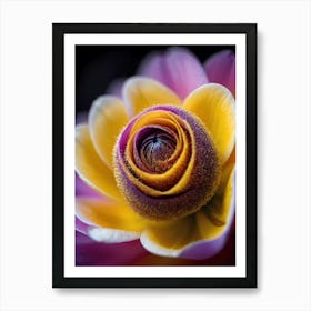 Purple And Yellow Flower Art Print