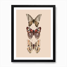 Butterflies Art Print