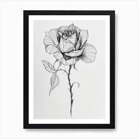 English Rose Black And White Line Drawing 37 Art Print