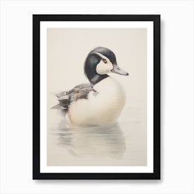 Vintage Bird Drawing Bufflehead 2 Art Print