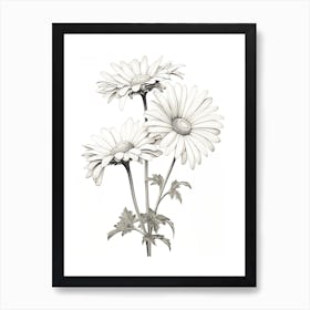 Daisies Flower Vintage Botanical 0 Art Print