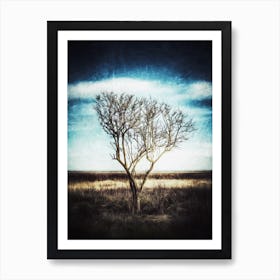 Coastal Tree Art Print