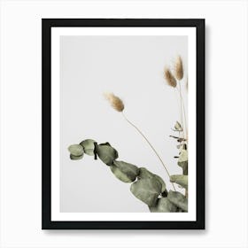 Dried Flower_2191084 Art Print