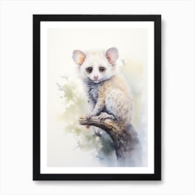 Light Watercolor Painting Of A Greater Glider 3 Art Print