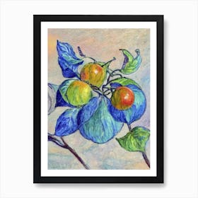 Physalis 1 Vintage Sketch Fruit Art Print