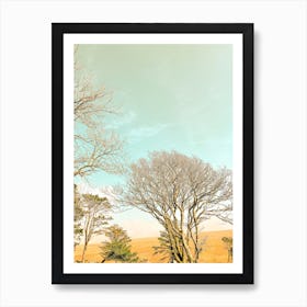 Dartmoor Trees Art Print