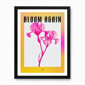 Hot Pink Iris 1 Poster Art Print