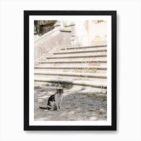 Cat Of The Mansion, Colour St Sebastian, Spain Art Print