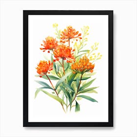 Butterfly Weed Wildflower In Watercolor  (4) Art Print