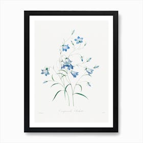 Campanule, Pierrejoseph Redouté Art Print