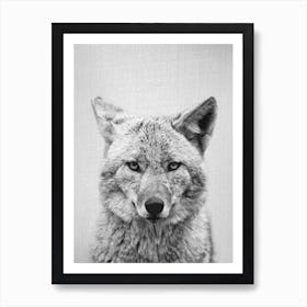 Coyote - Black & White Art Print