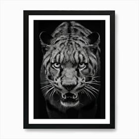 Tiger In Black And White Art Print