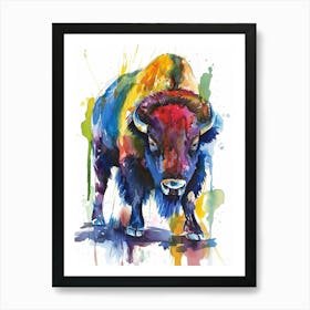 Bison Colourful Watercolour 1 Art Print