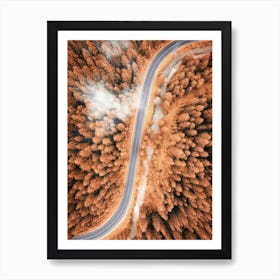 Aerial View Of A Pine Forest Road in Autumn 1 Póster