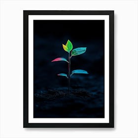 Small Plant Growing In Dark Art Print