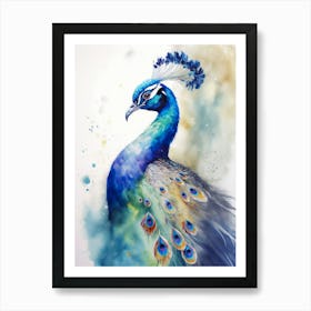 Peacock Watercolor Painting Art Print