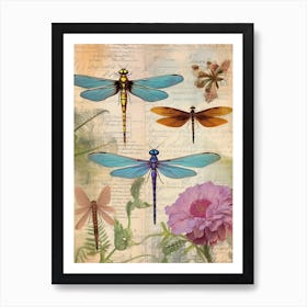 Dragonfly Vintage Species 2 Art Print