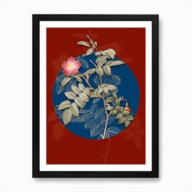 Vintage Botanical Pink Alpine Rose on Circle Blue on Red n.0197 Art Print