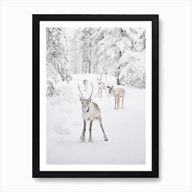 Snowy Reindeer Scenery Art Print