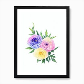 Ranunculus Watercolour Flower Art Print