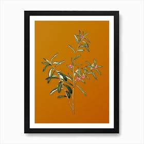 Vintage Bog Rosemary Bush Botanical on Sunset Orange n.0122 Art Print