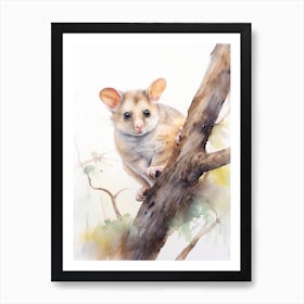 Light Watercolor Painting Of A Common Brushtail Possum 3 Art Print