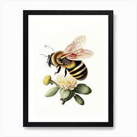 Pollinator Bee 8 Vintage Art Print