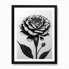 A Carnation In Black White Line Art Vertical Composition 53 Art Print