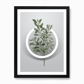 Vintage Bog Myrtle Minimalist Floral Geometric Circle on Soft Gray n.0498 Art Print