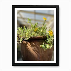 Small Plant In A Pot Art Print