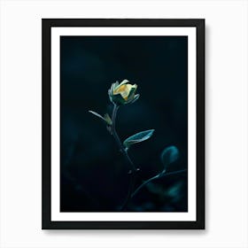 Dark Rose 176 Art Print