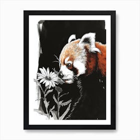 Red Panda Sniffing A Flower Ink Illustration 1 Art Print