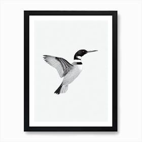 Common Loon B&W Pencil Drawing 1 Bird Art Print