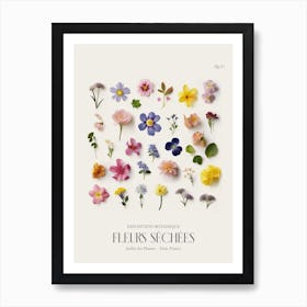 Fleurs Sechees, Dried Flowers Exhibition Poster 11 Art Print