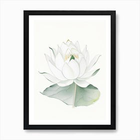 White Lotus Pencil Illustration 1 Art Print