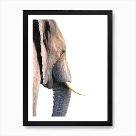 Brown Elephant Profile Watercolor Art Print