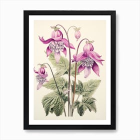 Katakuri Dogtooth Violet 1 Vintage Japanese Botanical Art Print