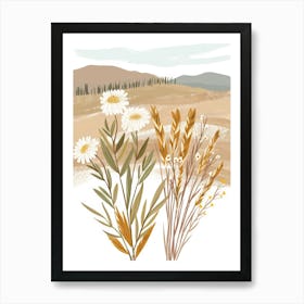 Field Of Daisies 3 Art Print