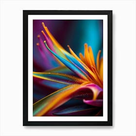 Colorful Flower Art Print