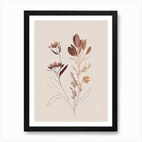 Chicory Spices And Herbs Retro Minimal 1 Art Print