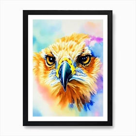 Golden Eagle Watercolour Bird Art Print