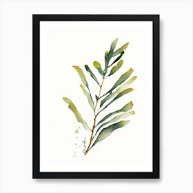 Bladderwrack Leaf Minimalist Watercolour 3 Art Print